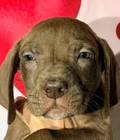 processed/8ec2e708-4c63-4486-b97a-c8ed9fbace88/listing/6d81404a-3c9a-4c62-8f46-563fbf7fccda/d6412cd9-1b75-4e79-98e3-1c3461358c4a