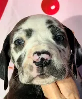 processed/8ec2e708-4c63-4486-b97a-c8ed9fbace88/listing/714ae758-0f7d-4e53-b2de-7e2a7fc9b5b7/0bc6ab41-7a56-4ecf-b5e1-7a95928b1d6c