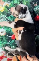 processed/8ec2e708-4c63-4486-b97a-c8ed9fbace88/listing/714ae758-0f7d-4e53-b2de-7e2a7fc9b5b7/0e18812b-54b6-48e2-81c5-cc64878dc353