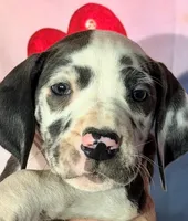 processed/8ec2e708-4c63-4486-b97a-c8ed9fbace88/listing/714ae758-0f7d-4e53-b2de-7e2a7fc9b5b7/d1418211-c260-4250-860b-0b449cc6b8ae