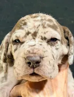 processed/8ec2e708-4c63-4486-b97a-c8ed9fbace88/listing/722d7340-61f3-4bb6-955a-d972e56ac23d/739f99ca-6a70-4f6b-9c7a-44767dd65666