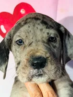 processed/8ec2e708-4c63-4486-b97a-c8ed9fbace88/listing/7ee00f6d-6e24-47b9-ab13-edcb8c264ad3/0effa5bb-1539-434f-b641-e1aad8bc88ef