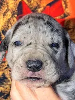 processed/8ec2e708-4c63-4486-b97a-c8ed9fbace88/listing/7ee00f6d-6e24-47b9-ab13-edcb8c264ad3/d428f748-d984-46fb-86cb-c7c358091c77