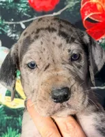 processed/8ec2e708-4c63-4486-b97a-c8ed9fbace88/listing/7ee00f6d-6e24-47b9-ab13-edcb8c264ad3/e25261e0-c168-4c91-bd46-e921f8fcc628