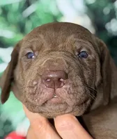 processed/8ec2e708-4c63-4486-b97a-c8ed9fbace88/listing/7fed54fe-4c10-46ec-8798-5f1d26b3f533/385f8556-9a3b-4c98-94d1-8b07b2fd1624