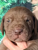 processed/8ec2e708-4c63-4486-b97a-c8ed9fbace88/listing/7fed54fe-4c10-46ec-8798-5f1d26b3f533/b869109f-e390-4e9d-81e1-32af87b0b8fb