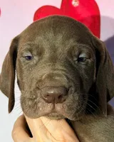 processed/8ec2e708-4c63-4486-b97a-c8ed9fbace88/listing/7fed54fe-4c10-46ec-8798-5f1d26b3f533/f2a83dd0-857b-4686-aa04-73839d1fb5ef