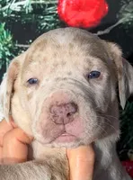 processed/8ec2e708-4c63-4486-b97a-c8ed9fbace88/listing/86024876-6582-412e-96a6-982cfbc37987/152f614b-6d52-4fa5-b1e7-e56f06549213