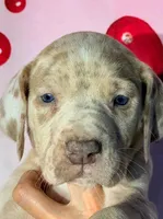 processed/8ec2e708-4c63-4486-b97a-c8ed9fbace88/listing/86024876-6582-412e-96a6-982cfbc37987/60659ba6-0e73-46b1-8966-97e7ab50fbe6