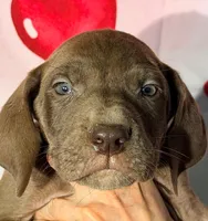 processed/8ec2e708-4c63-4486-b97a-c8ed9fbace88/listing/9e9370e8-3b6e-47b5-811e-79d87c928fd3/52541b57-70e3-4ead-bf1c-c65d0f1e93be