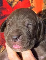 processed/8ec2e708-4c63-4486-b97a-c8ed9fbace88/listing/9e9370e8-3b6e-47b5-811e-79d87c928fd3/7564a8e2-5dc9-400a-a415-61d5a4456528