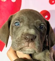 processed/8ec2e708-4c63-4486-b97a-c8ed9fbace88/listing/9e9370e8-3b6e-47b5-811e-79d87c928fd3/8dba9167-ab5a-4b0d-b960-d60ebf503f36