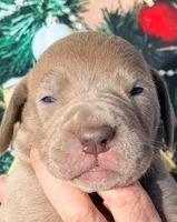 processed/8ec2e708-4c63-4486-b97a-c8ed9fbace88/listing/b0548d98-6907-495d-b2f1-9ae331f25562/0e46960c-a869-4d28-b789-037160e22a12