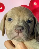 processed/8ec2e708-4c63-4486-b97a-c8ed9fbace88/listing/b0548d98-6907-495d-b2f1-9ae331f25562/41d51326-00bf-48b3-92ea-e3685d1a24aa