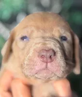 processed/8ec2e708-4c63-4486-b97a-c8ed9fbace88/listing/b0548d98-6907-495d-b2f1-9ae331f25562/8248891b-f7b7-49ef-a841-23933cb0dafe