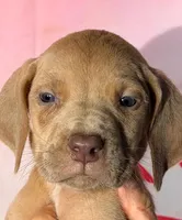 processed/8ec2e708-4c63-4486-b97a-c8ed9fbace88/listing/b0548d98-6907-495d-b2f1-9ae331f25562/a47d629b-4cbb-49a3-b29c-f8e290065cd5