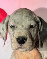 processed/8ec2e708-4c63-4486-b97a-c8ed9fbace88/listing/b9bc493e-1095-42e8-8c6c-8160ed318f1a/2489535a-4306-4fc3-a560-022cf0ad3ff0