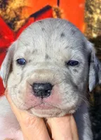 processed/8ec2e708-4c63-4486-b97a-c8ed9fbace88/listing/b9bc493e-1095-42e8-8c6c-8160ed318f1a/24ec19ba-bec2-4863-8865-9013fc627657