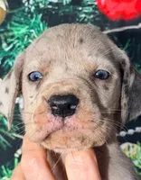 processed/8ec2e708-4c63-4486-b97a-c8ed9fbace88/listing/b9bc493e-1095-42e8-8c6c-8160ed318f1a/ba9047e1-9549-47d7-b628-bb3582d8d91f