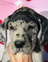 processed/8ec2e708-4c63-4486-b97a-c8ed9fbace88/listing/bc569ac2-fd1e-4d2e-abb3-c3a9281a41d4/70ce3bdf-74df-438b-a78a-88bde942f452