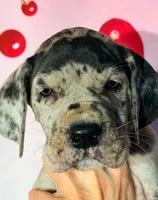 processed/8ec2e708-4c63-4486-b97a-c8ed9fbace88/listing/bc569ac2-fd1e-4d2e-abb3-c3a9281a41d4/b8ab0c4b-30e4-423e-8927-ac84fdc834a7