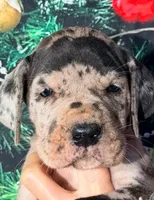 processed/8ec2e708-4c63-4486-b97a-c8ed9fbace88/listing/bc569ac2-fd1e-4d2e-abb3-c3a9281a41d4/f4fdefd5-7156-4b22-ba9b-747bf09b719f