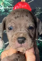 processed/8ec2e708-4c63-4486-b97a-c8ed9fbace88/listing/c1ecadfb-13b5-4367-84f7-fd9ea38469ce/1fc43a60-d8d6-462b-bbd1-e14954641bf7