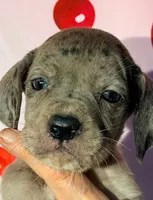 processed/8ec2e708-4c63-4486-b97a-c8ed9fbace88/listing/c1ecadfb-13b5-4367-84f7-fd9ea38469ce/452be67c-6855-47c0-9033-e2e83c4874e4