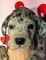 processed/8ec2e708-4c63-4486-b97a-c8ed9fbace88/listing/c9d0c627-d8e6-4491-adf5-b878c71427a8/9ca872e1-a597-478d-a18f-ebef52b31c11