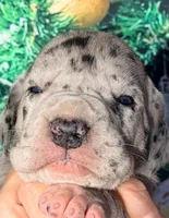 processed/8ec2e708-4c63-4486-b97a-c8ed9fbace88/listing/c9d0c627-d8e6-4491-adf5-b878c71427a8/b1eaa95b-28f4-49d4-befe-4ff8ef5fbe30