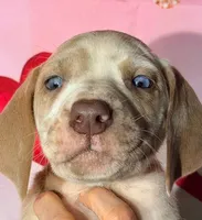 processed/8ec2e708-4c63-4486-b97a-c8ed9fbace88/listing/cae60fc7-ff22-498c-9556-7e38344612fb/0eb038db-fba8-4fd8-9684-27d59a2cc8f7