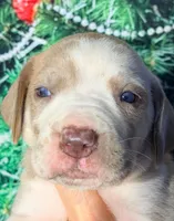 processed/8ec2e708-4c63-4486-b97a-c8ed9fbace88/listing/cae60fc7-ff22-498c-9556-7e38344612fb/7fb7504b-0a7f-4cf7-b178-f3f53a4b1848