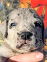 processed/8ec2e708-4c63-4486-b97a-c8ed9fbace88/listing/d280dac9-0756-49f8-875a-872d1c453a32/04634f7e-5325-4297-9b9c-5eb313839f99