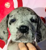 processed/8ec2e708-4c63-4486-b97a-c8ed9fbace88/listing/d280dac9-0756-49f8-875a-872d1c453a32/4ca0fe11-d718-4932-81c4-feee61b922bb