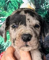 processed/8ec2e708-4c63-4486-b97a-c8ed9fbace88/listing/d3f73be6-0895-4e51-b9b7-d7d46c173096/22641d51-60f5-4003-8ccb-e1ee81dc4547