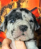 processed/8ec2e708-4c63-4486-b97a-c8ed9fbace88/listing/d3f73be6-0895-4e51-b9b7-d7d46c173096/a167f9b3-27ef-4f41-85df-ef3f809b0537