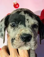 processed/8ec2e708-4c63-4486-b97a-c8ed9fbace88/listing/d3f73be6-0895-4e51-b9b7-d7d46c173096/c0e5459a-e6b8-4faf-9186-dbbd6173f7be