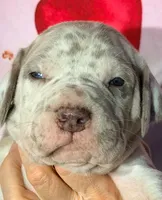 processed/8ec2e708-4c63-4486-b97a-c8ed9fbace88/listing/d48209a6-d2c7-4ba9-963c-12e53b2090b0/f6c5432a-9137-43c0-9fba-04648c53adf3