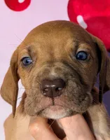 processed/8ec2e708-4c63-4486-b97a-c8ed9fbace88/listing/faccd950-b103-4f32-9814-656b3b8d1059/0cfbd8c4-4267-488c-b5c3-19db89767312