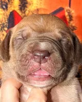 processed/8ec2e708-4c63-4486-b97a-c8ed9fbace88/listing/faccd950-b103-4f32-9814-656b3b8d1059/bd9d61d7-b84b-4aac-abee-0a2c4bf423ee