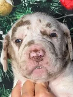 processed/8ec2e708-4c63-4486-b97a-c8ed9fbace88/listing/fb379d48-80bb-49a9-b686-f83a5292ff07/23534a5c-bd53-40da-9c3a-2f00719c2e73