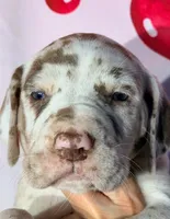 processed/8ec2e708-4c63-4486-b97a-c8ed9fbace88/listing/fb379d48-80bb-49a9-b686-f83a5292ff07/ba722157-64a3-4929-86b7-147c3f0d4ebd