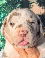 processed/8ec2e708-4c63-4486-b97a-c8ed9fbace88/listing/fb379d48-80bb-49a9-b686-f83a5292ff07/c2c579e0-3e7d-494d-b7ef-1c3840c8cd47