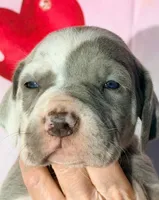 processed/8ec2e708-4c63-4486-b97a-c8ed9fbace88/listing/fbb8d060-45dd-4da5-8fe0-bdb03eb10f25/74ebf62f-52d6-40fe-80ce-abff3f4fc23c