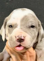 processed/8ec2e708-4c63-4486-b97a-c8ed9fbace88/listing/fbb8d060-45dd-4da5-8fe0-bdb03eb10f25/b5135f5a-0f1e-423f-a9df-ddf20f58afc9