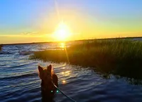 processed/8ec3933b-5114-4e34-8fc7-9340c3584a98/facility/56f805b1-8a0a-4d32-a073-e7a7b23ec0f7