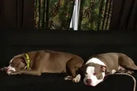 processed/8ec3933b-5114-4e34-8fc7-9340c3584a98/facility/c986fe76-e0e6-4908-9b00-60083f95076e