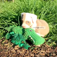Kolby, a male American Bully for sale in Holly Ridge, NC – 4 of 6