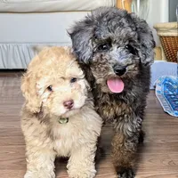 processed/8ee30e57-3f48-4174-9c95-e8025ab34098/facility/56e6b28e-5518-476c-bf30-a89a17035c9d