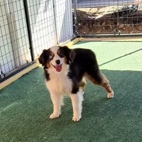 processed/8ee30e57-3f48-4174-9c95-e8025ab34098/facility/8949dd07-cfbf-4950-ba2d-34ecd7d79822